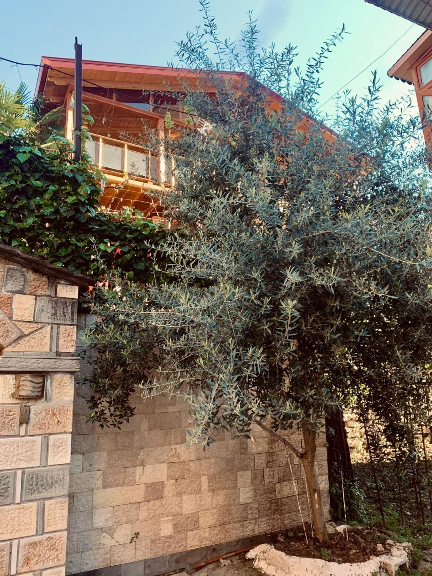 Alimeti Guesthouse Berat Luaran gambar