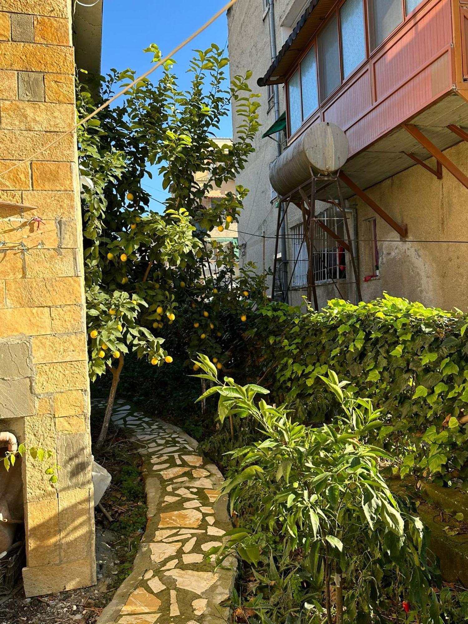 Alimeti Guesthouse Berat Luaran gambar